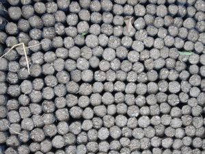 20210425 154147 Scaled 1 300x225