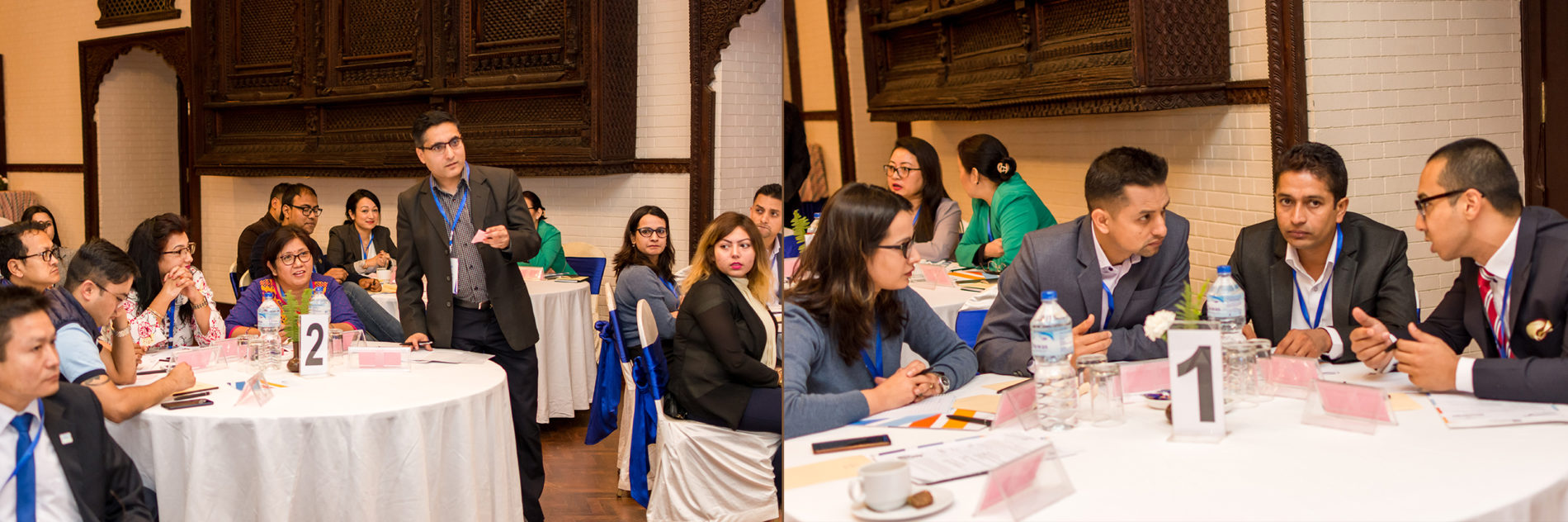 WiseStripe Participants