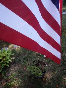 20201004 111656 Copy 2 225x300